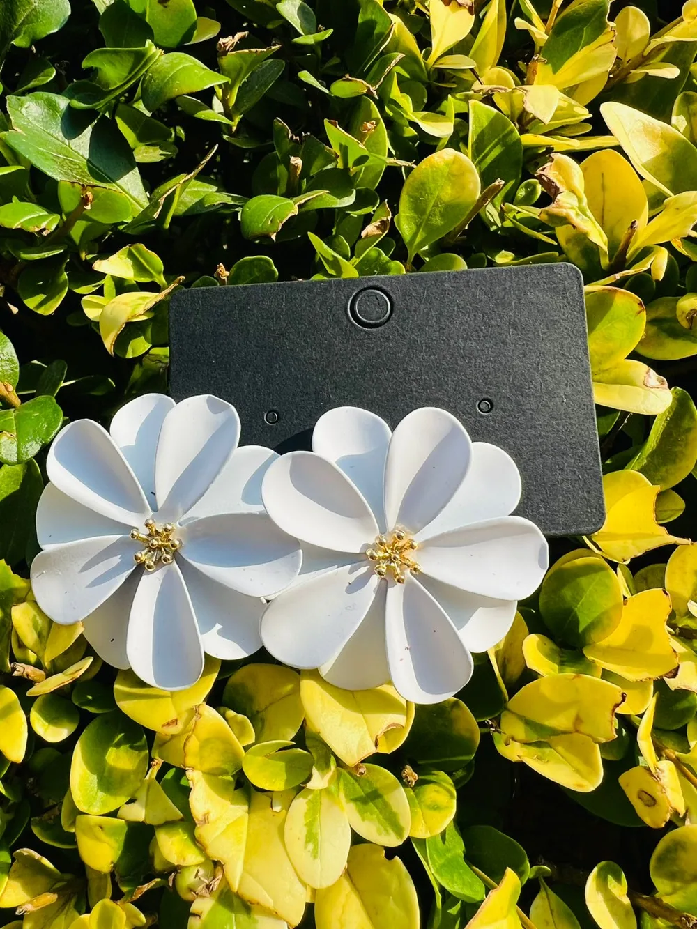 FLOR BLANCA